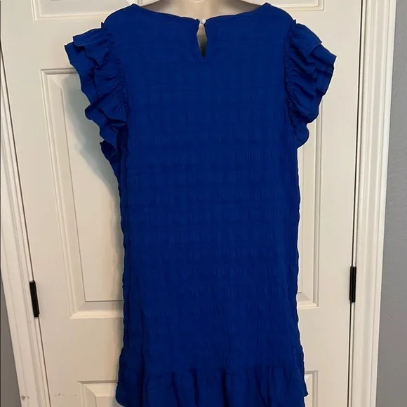 Blue Ruffled Dress - Picture 5 of 6